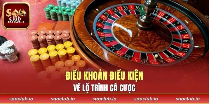 Các nội dung thiết lập dành cho lộ trình cá cược online