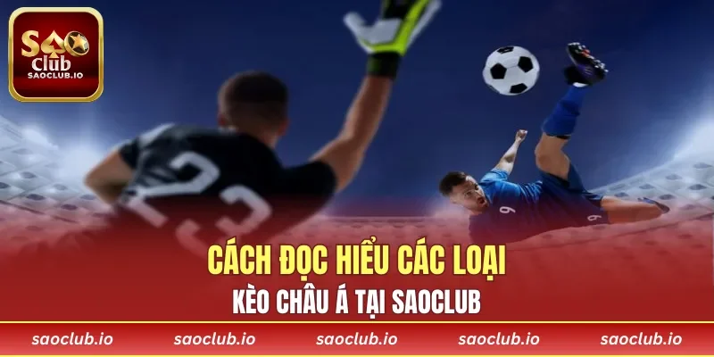 Cách đọc bảng kèo dễ hiểu trên nền tảng