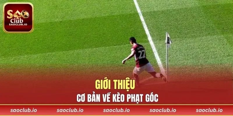 Giới thiệu cơ bản về kèo phạt góc